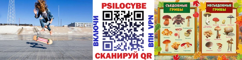 Галлюциногенные грибы Psilocybe  сколько стоит  Тула 